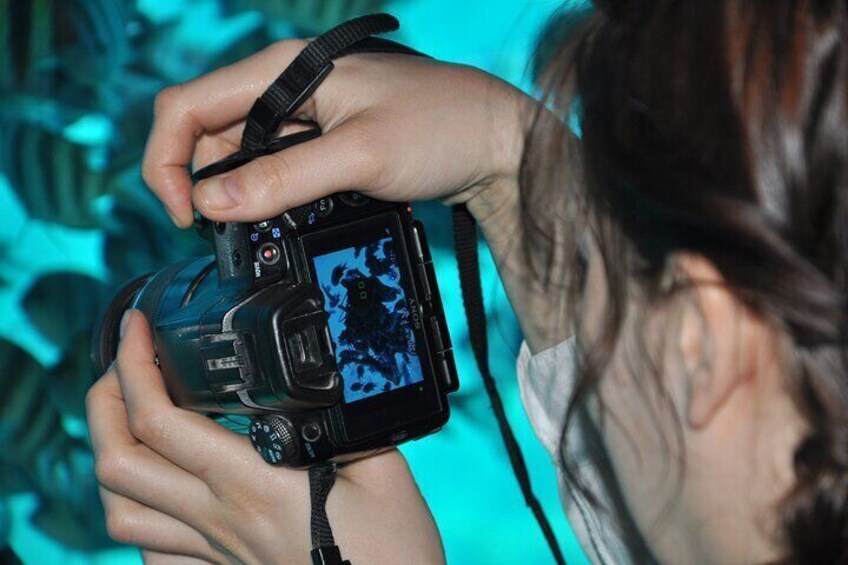 Dive into Adventure: Semi-Submarine Trip & Transfers – Marsa Alam