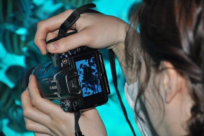 Dive into Adventure: Semi-Submarine Trip & Transfers – Marsa Alam