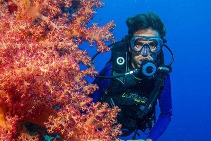 Experiencia de buceo para principiantes con almuerzo – Marsa Alam
