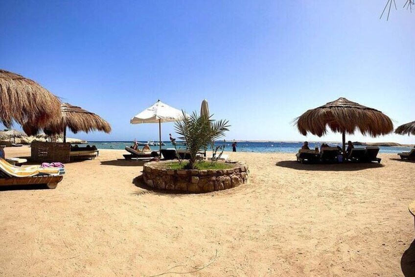 Sharm El Naga Coral Reserv (Turtles, Clownfish, Moray) with Lunch