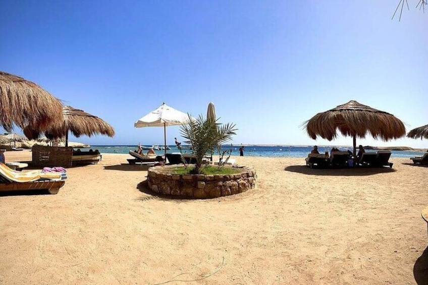 Sharm El Naga Coral Reserv (Turtles, Clownfish, Moray) with Lunch