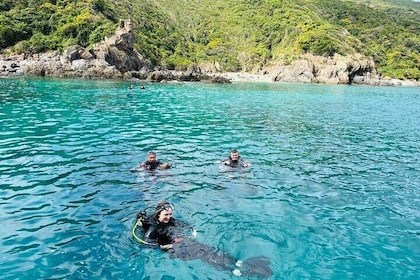 Scuba Diving in Nha Trang Explore Stunning Coral Reefs