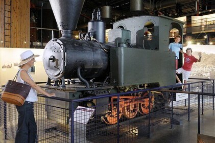 FULL DAY North Mauritius : Botanical Garden & L'Aventure Du Sucre