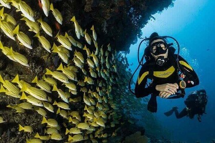 PADI Diving – Open Water Course for Beginners - Marsa Alam