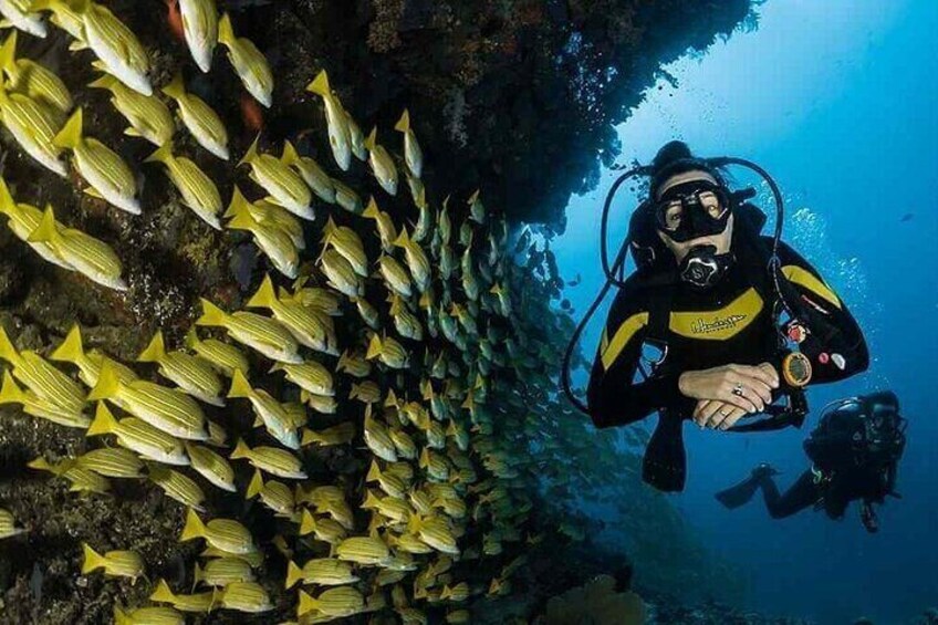 PADI Diving – Open Water Course for Beginners - Marsa Alam