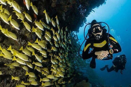 PADI Diving – Open Water Course for Beginners - Marsa Alam