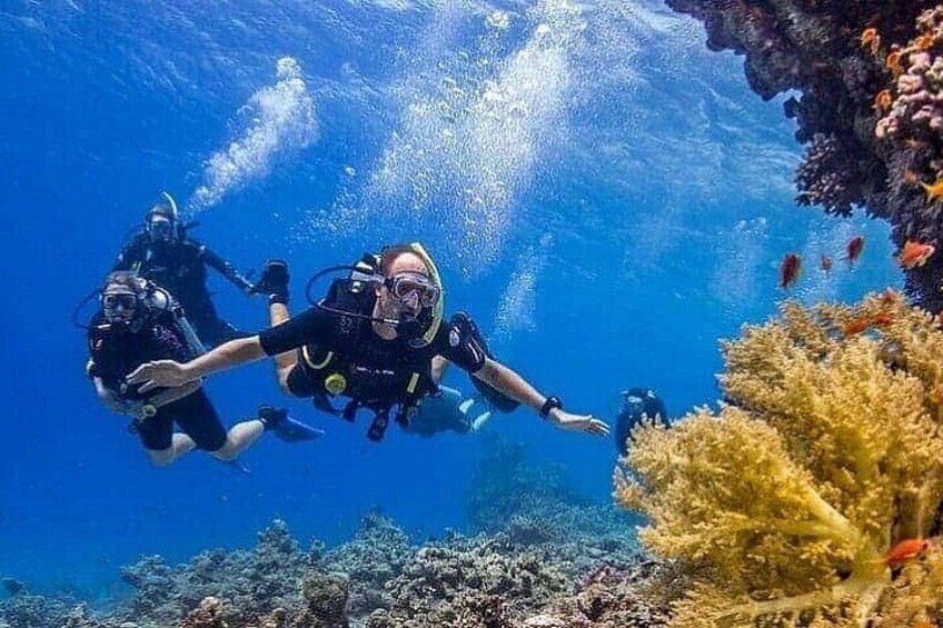 PADI Diving – Open Water Course for Beginners - Marsa Alam