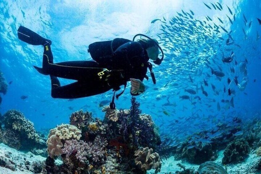 PADI Diving – Open Water Course for Beginners - Marsa Alam