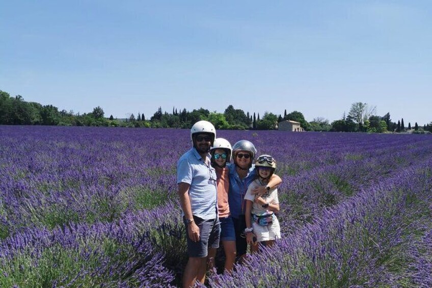 Sidecar Lavender and Vineyard Tour in Aix-en-Provence