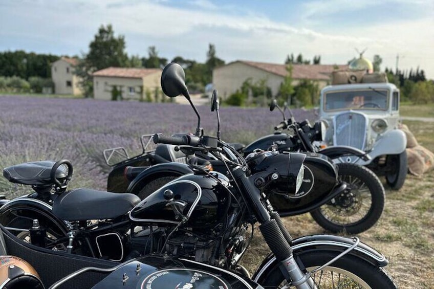 Sidecar Lavender and Vineyard Tour in Aix-en-Provence