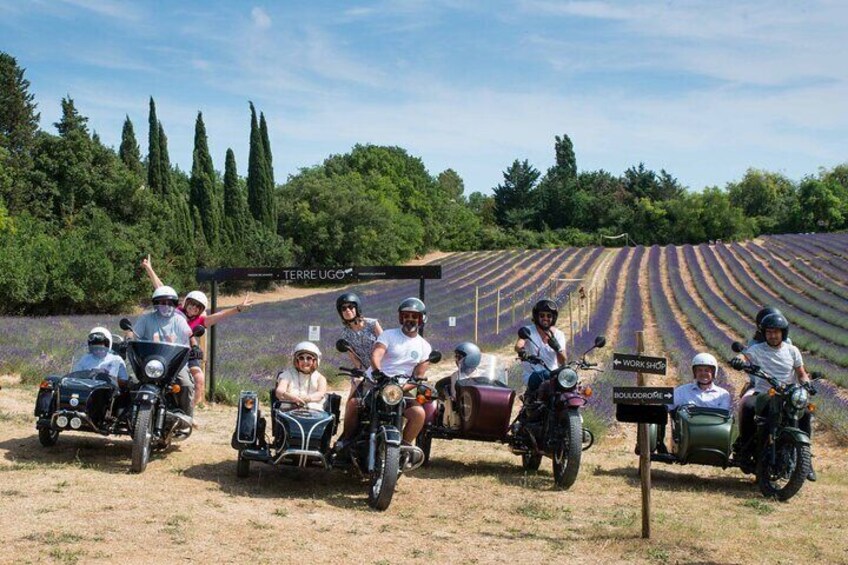Sidecar Lavender and Vineyard Tour in Aix-en-Provence