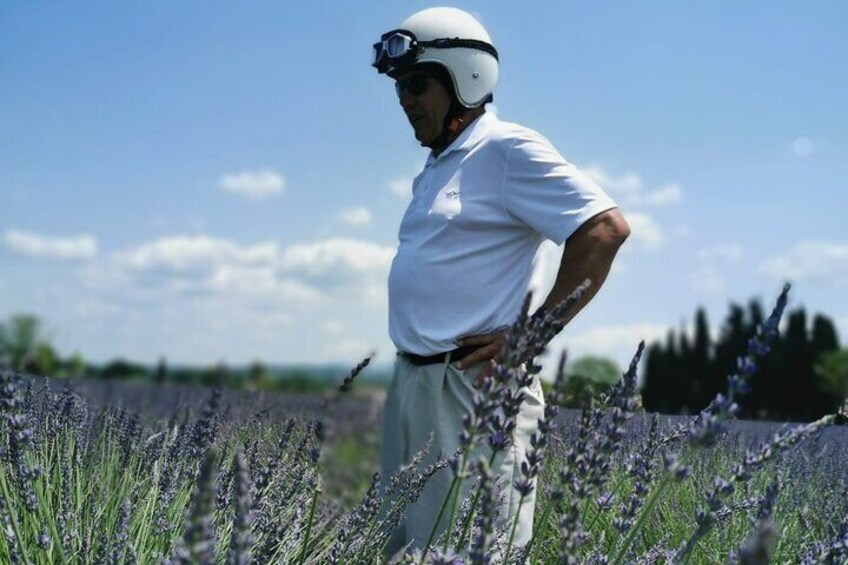 Sidecar Lavender and Vineyard Tour in Aix-en-Provence