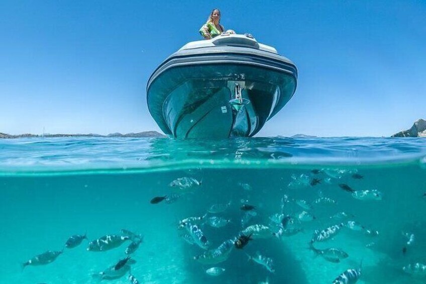 Snorkelling