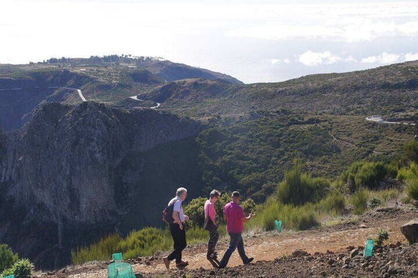 Madeira West side: Cabo Girão, Seixal, Fanal & more – Full Day