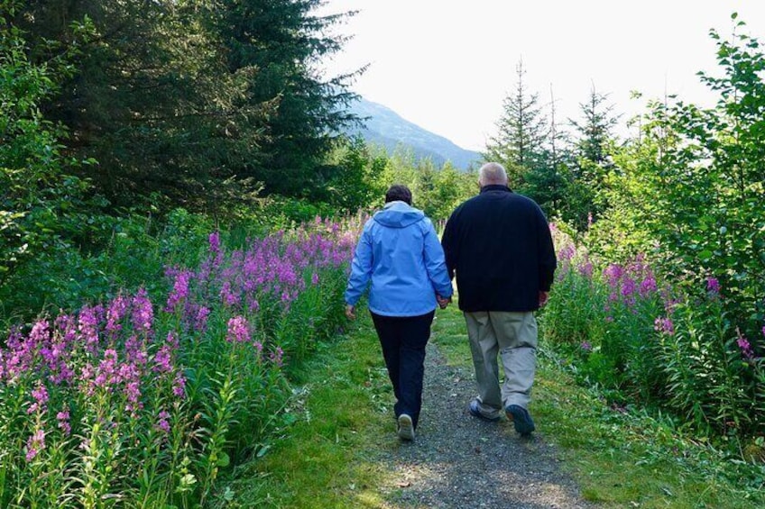 Turnagain Arm Glacier Discovery