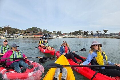Half Day Dana Point Kayak and Hike