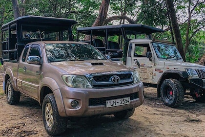 Royal Trails Safari at Kumana National Park