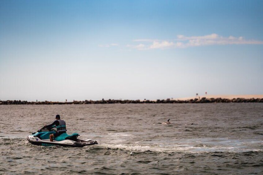 2 Hours Shell Island Jet Ski Tour