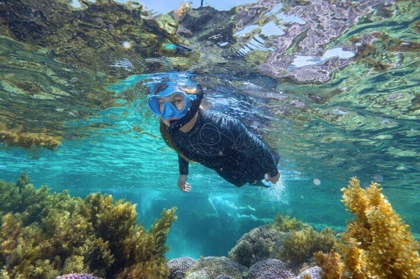 Private Snorkel Experience in Rottnest