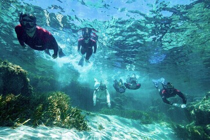 Rottnest Island Guided Snorkel Boat Experience