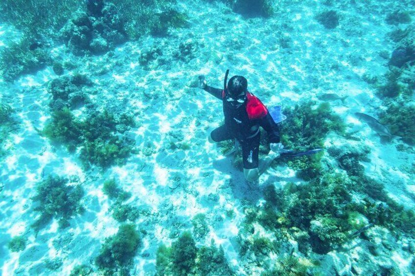 Private Snorkel Experience in Rottnest