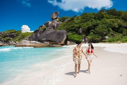 Similan Islands Turtles Tour Pick up from Phuket By Speed Boat