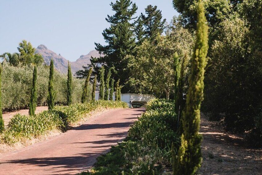 Artisan Olive and Balsamic Tasting Experience at Chaloner