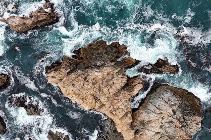 Private Minivan Tour Along Pacific Coast Highway