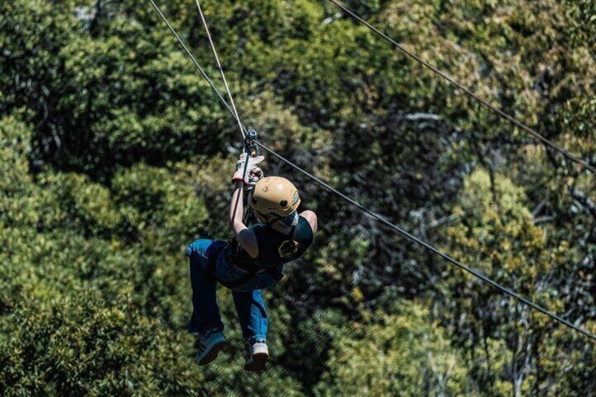 Magaliesberg Canopy Tour