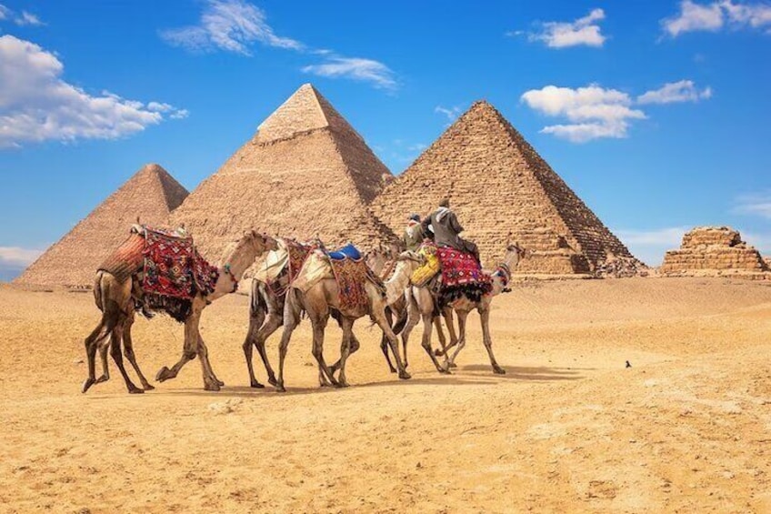 7-Day Tour from Seattle to Egypt
