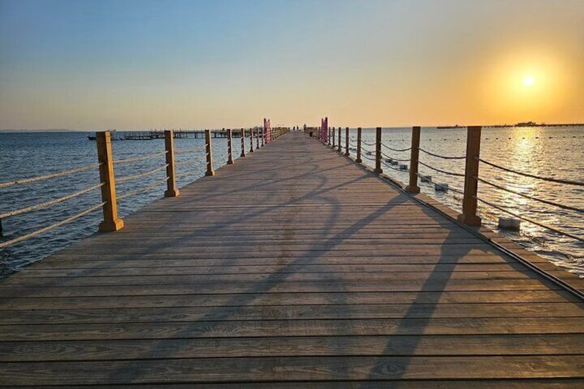 7-Day Tour from Seattle to Egypt