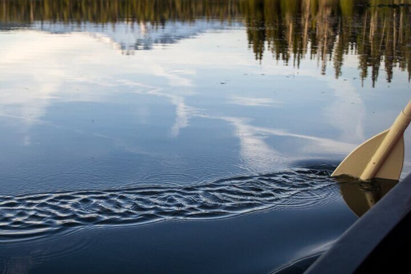 Cascade Lakes Moonlight and Starlight Canoe Tour