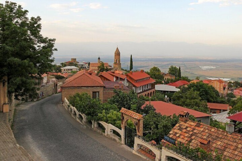 Full-Day Wine Tour in Georgia's Kakheti Region