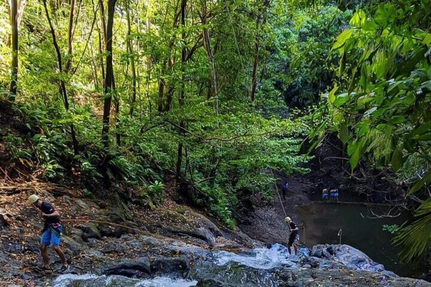 Rainforest Horseback+Waterfall Rappelling+1.3 Miles in Zip Line Combo+Lunch