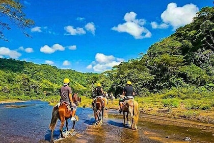 Rainforest Horseback+Waterfall Rappelling+1.3 Miles in Zip Line Combo+Lunch