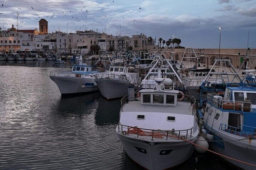 Authentic Experience at the Port of Mola Stories and Traditions