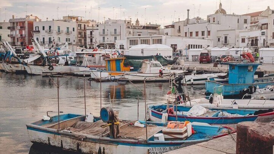 Authentic Experience at the Port of Mola Stories and Traditions