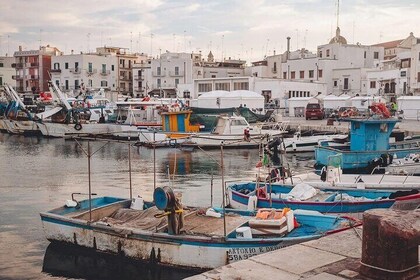 Authentic Experience at the Port of Mola Stories and Traditions