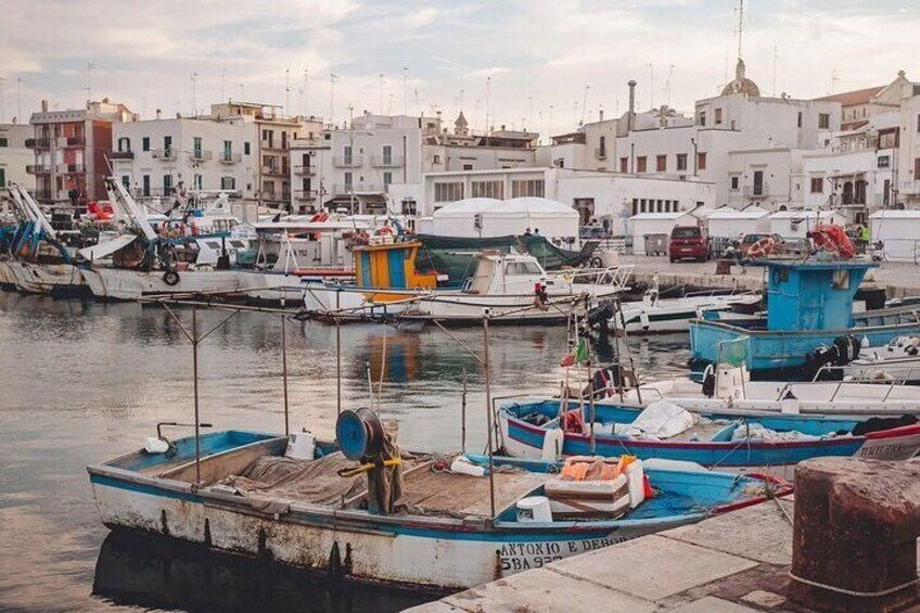 Authentic Experience at the Port of Mola Stories and Traditions
