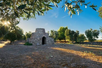 Day Tour of the Itria Valley