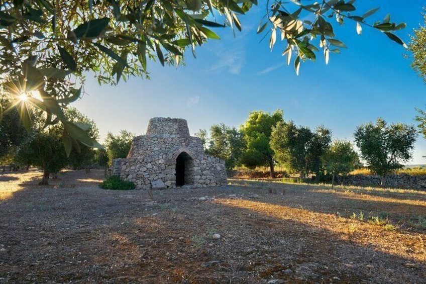 Day Tour of the Itria Valley