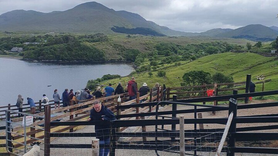 Connemara Half Day Tour