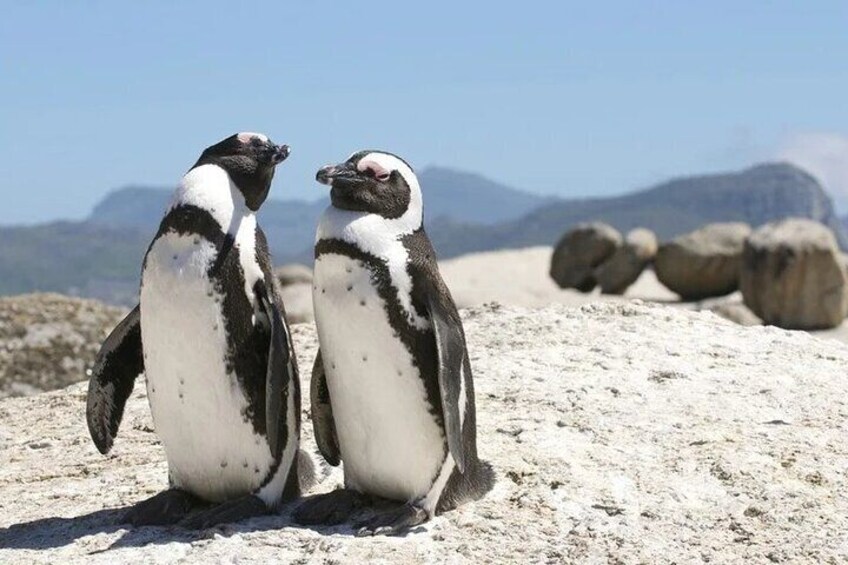 7 Day Garden Route Cape Town to Durban