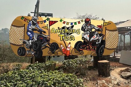 quad bike RIDE at Amchong Tea Estate