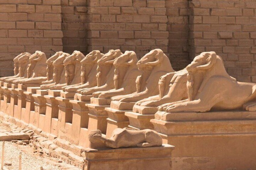 Luxor Full-Day Adventure by Plane & Guided Tour–Sharm El Sheikh