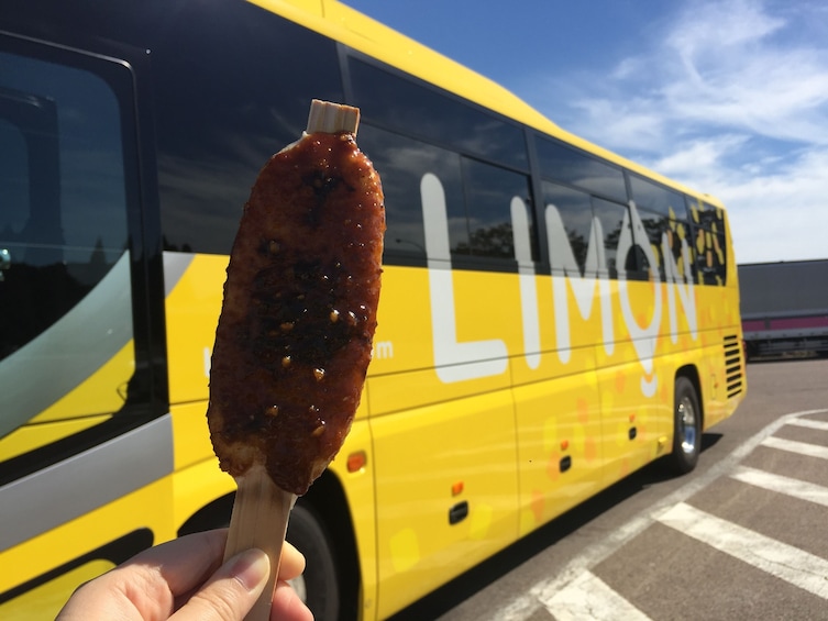 Mt. Fuji, Lake suwa & Tokyo 1 Way tour (Takayama Dept)