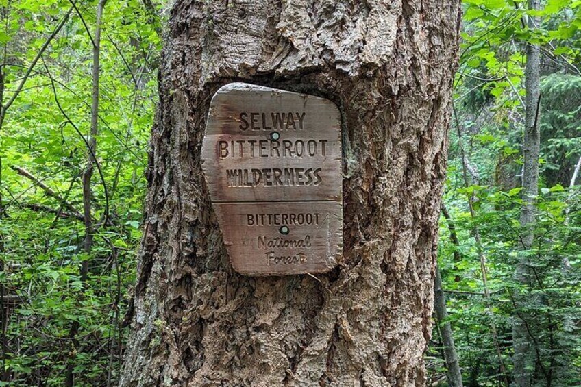 I've hiked in every corner of the US and hiking in the Bitterroot is the best!