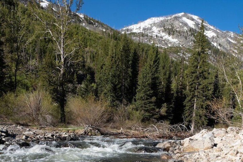 Hike along a beautiful mountain creek!