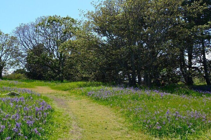 Victoria Seaside Splendors Trail Walking Tour