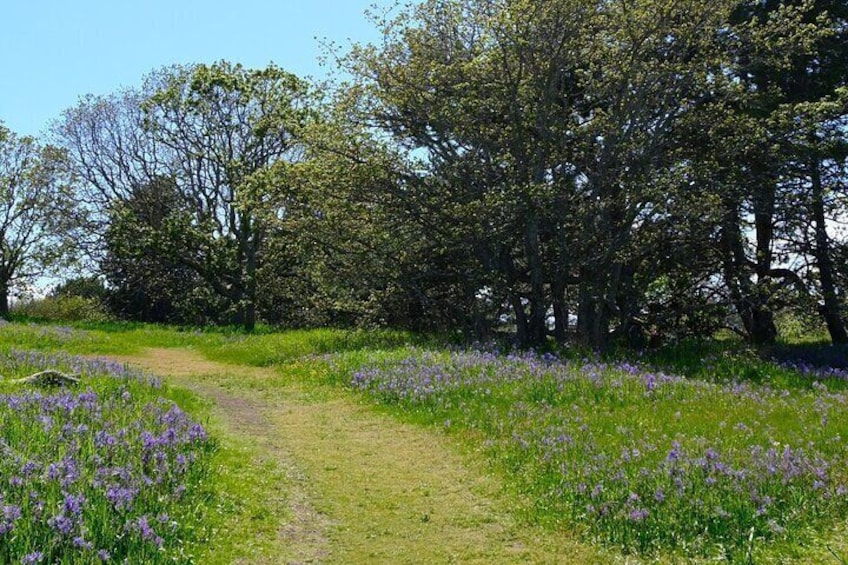 Victoria Seaside Splendors Trail Walking Tour